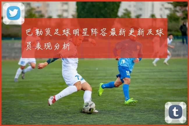 巴勒莫足球明星阵容最新更新及球员表现分析