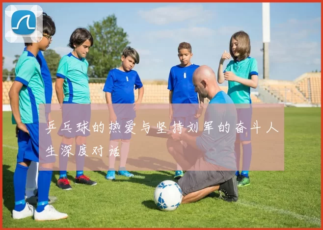 乒乓球的热爱与坚持刘军的奋斗人生深度对话