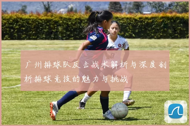 广州排球队反击战术解析与深度剖析排球竞技的魅力与挑战