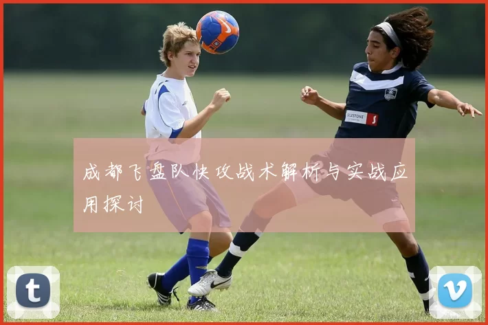 成都飞盘队快攻战术解析与实战应用探讨