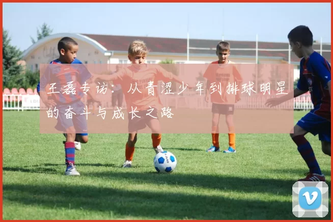 王磊专访：从青涩少年到排球明星的奋斗与成长之路