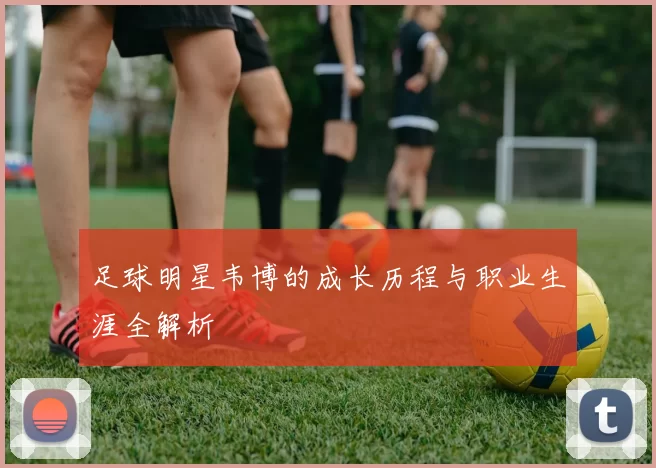 足球明星韦博的成长历程与职业生涯全解析