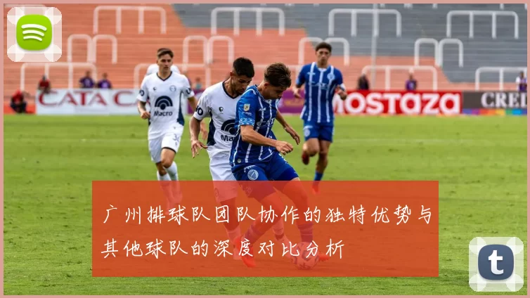 广州排球队团队协作的独特优势与其他球队的深度对比分析