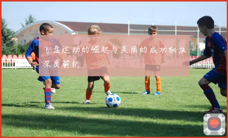 飞盘运动的崛起与吴丽的成功秘诀深度解析