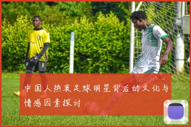 中国人热衷足球明星背后的文化与情感因素探讨