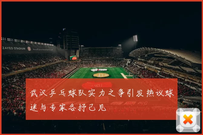 武汉乒乓球队实力之争引发热议球迷与专家各抒己见