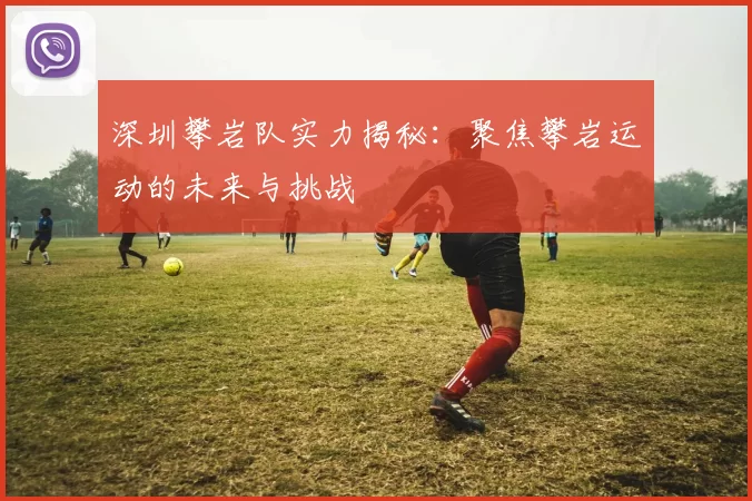 深圳攀岩队实力揭秘：聚焦攀岩运动的未来与挑战