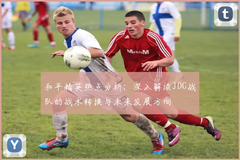 和平精英热点分析：深入解读JDG战队的战术转换与未来发展方向