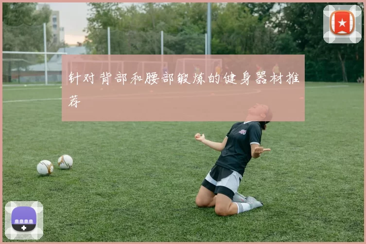 针对背部和腰部锻炼的健身器材推荐
