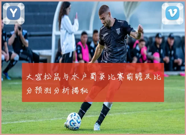 大宫松鼠与水户蜀葵比赛前瞻及比分预测分析揭秘