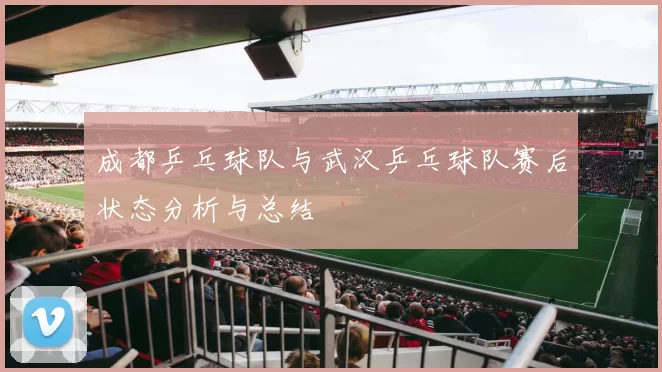 成都乒乓球队与武汉乒乓球队赛后状态分析与总结