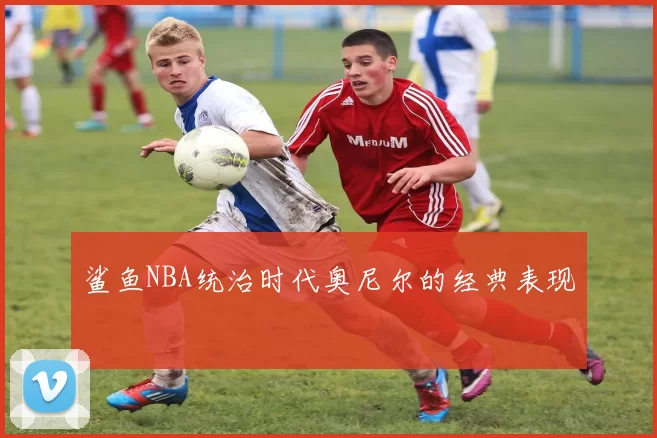 鲨鱼NBA统治时代奥尼尔的经典表现