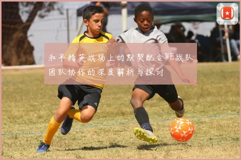 和平精英战场上的默契配合WE战队团队协作的深度解析与探讨
