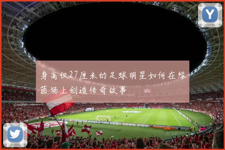 身高仅27厘米的足球明星如何在绿茵场上创造传奇故事