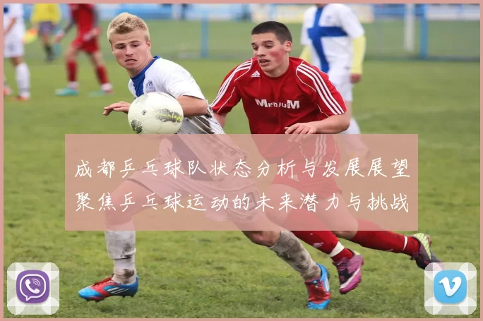 成都乒乓球队状态分析与发展展望聚焦乒乓球运动的未来潜力与挑战