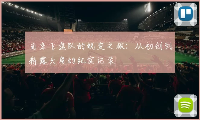南京飞盘队的蜕变之旅：从初创到崭露头角的纪实记录