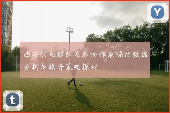 西安羽毛球队团队协作表现的数据分析与提升策略探讨