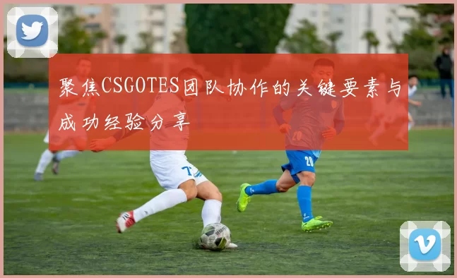 聚焦CSGOTES团队协作的关键要素与成功经验分享