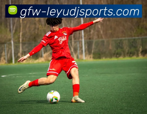 乐鱼leyuAPP 封面图